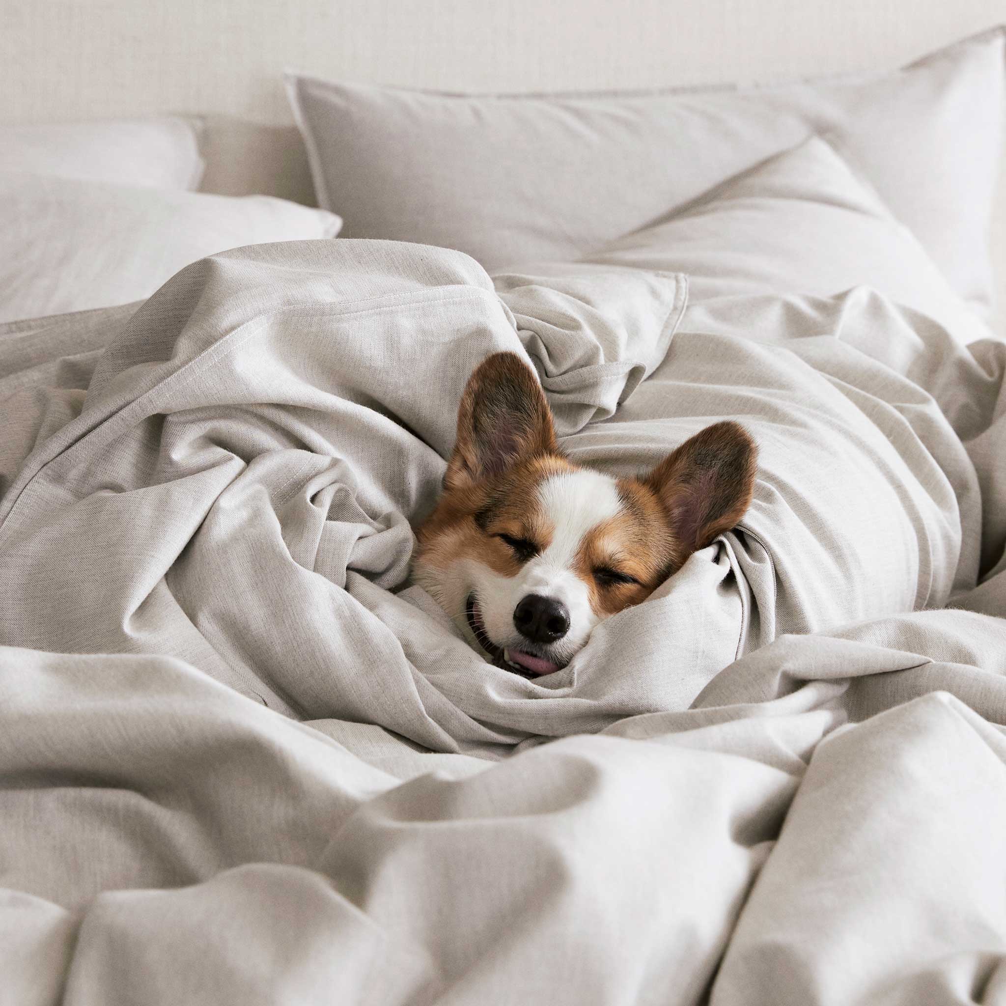 Heathered Cashmere Hardcore Sheet Bundle - Image 30