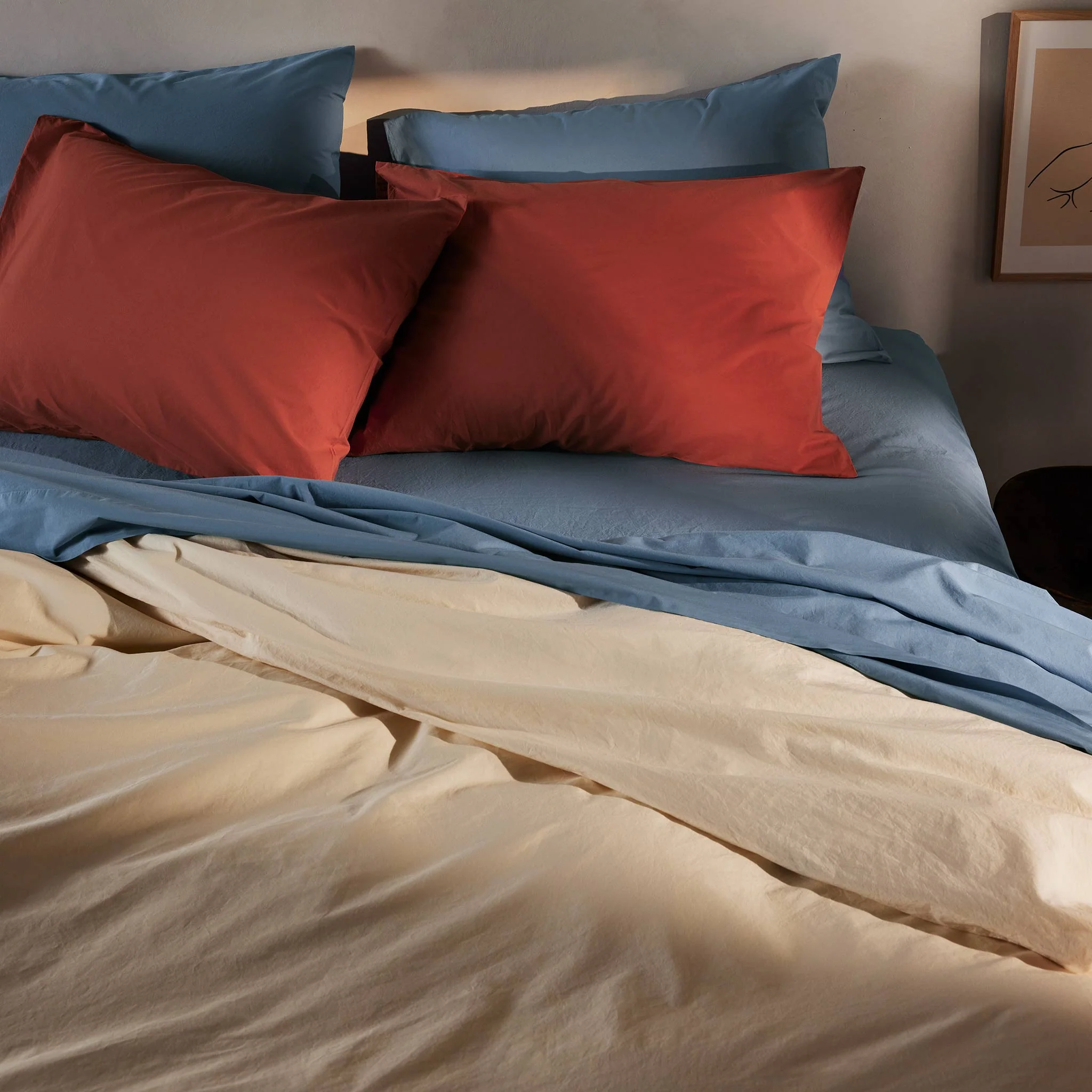 Organic Cotton Hardcore Sheet Bundle - Image 27