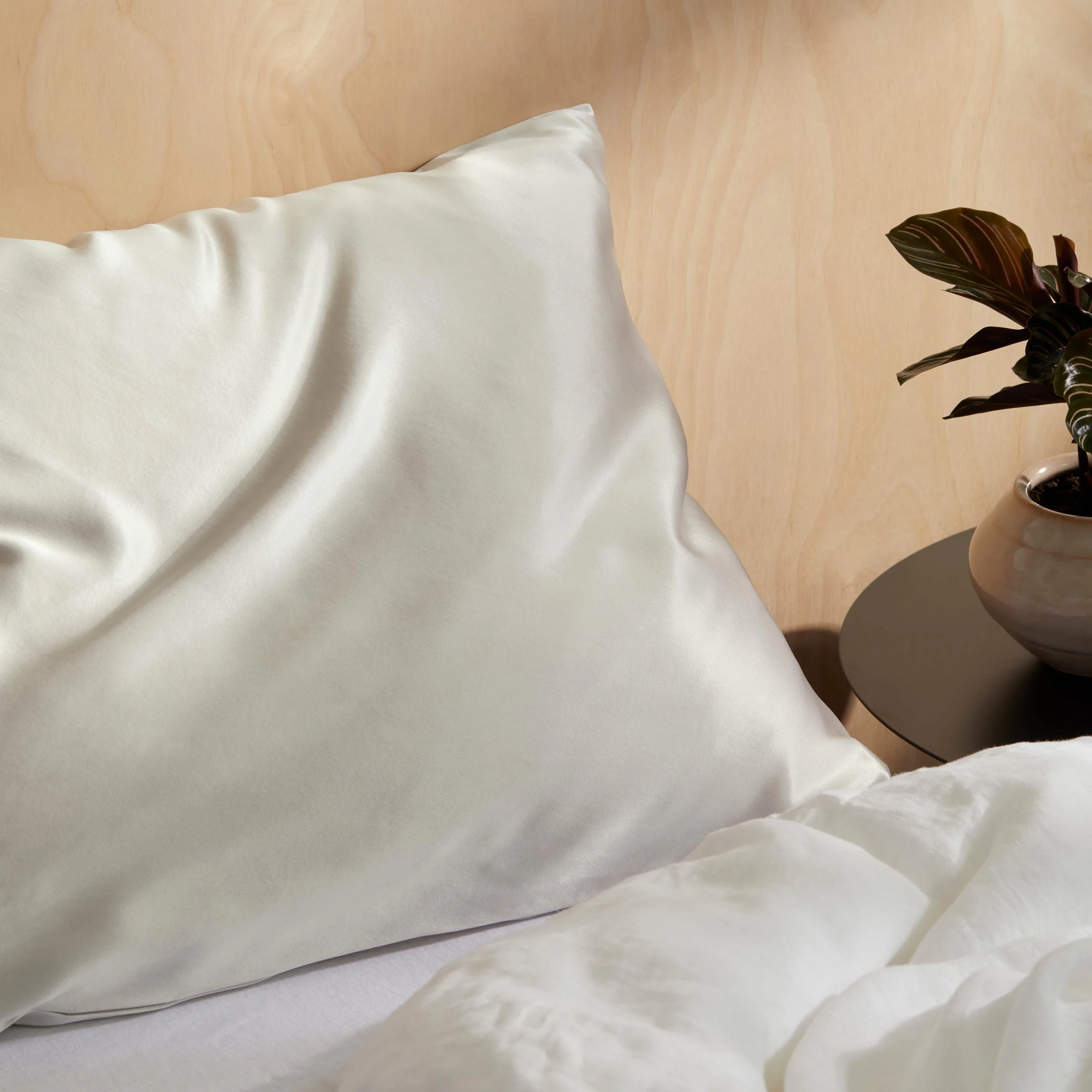 Mulberry Silk Pillowcase - Image 38