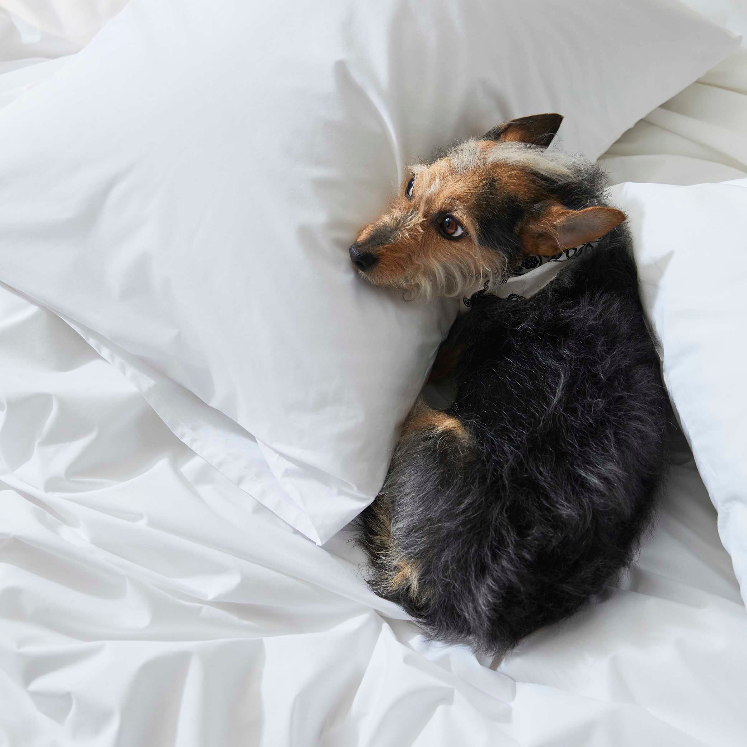 Classic Percale Duvet Cover - Image 12